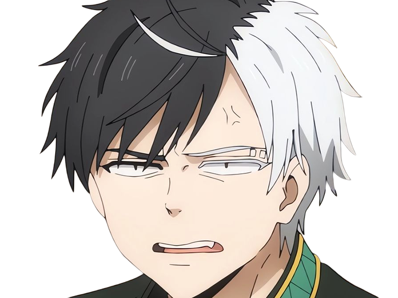 haruka sakura othello wind breaker anime manga protagoniste delinquant combattant lyceen homme cheveux-noirs-blancs yeux-gris-jaunes bicolor