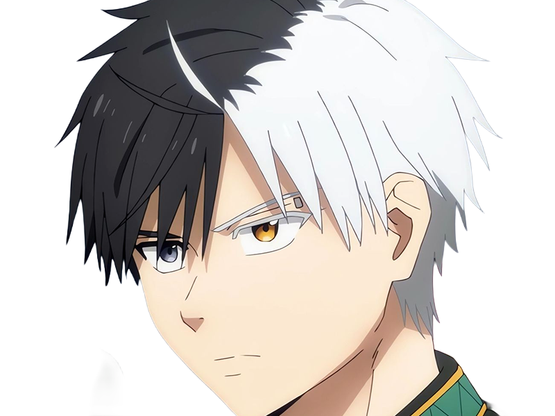 haruka sakura othello wind breaker anime manga protagoniste delinquant combattant lyceen homme cheveux-noirs-blancs yeux-gris-jaunes bicolor