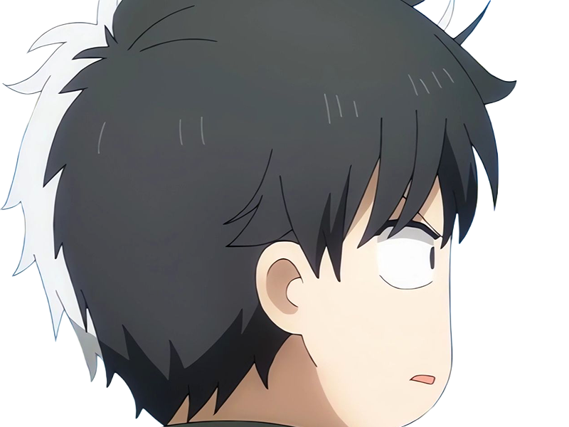 haruka sakura othello wind breaker anime manga protagoniste delinquant combattant lyceen homme cheveux-noirs-blancs yeux-gris-jaunes bicolor