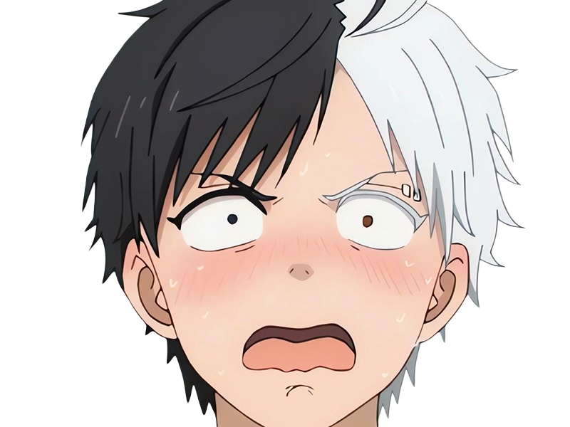 haruka sakura othello wind breaker anime manga protagoniste delinquant combattant lyceen homme cheveux-noirs-blancs yeux-gris-jaunes bicolor