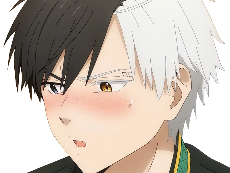 haruka sakura othello wind breaker anime manga protagoniste delinquant combattant lyceen homme cheveux-noirs-blancs yeux-gris-jaunes bicolor