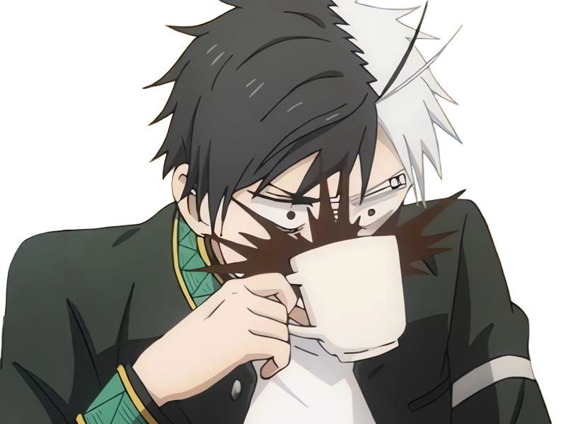 haruka sakura othello wind breaker anime manga protagoniste delinquant combattant lyceen homme cheveux-noirs-blancs yeux-gris-jaunes bicolor