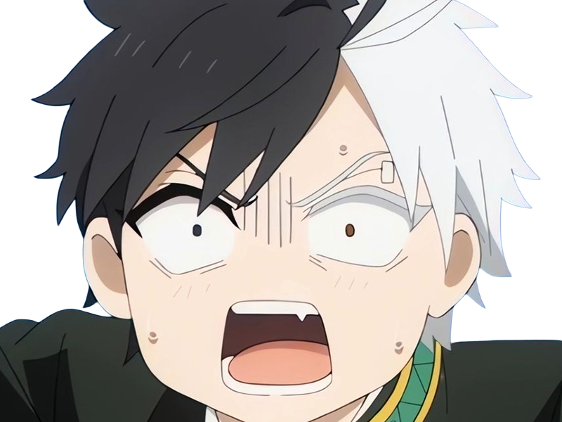 haruka sakura othello wind breaker anime manga protagoniste delinquant combattant lyceen homme cheveux-noirs-blancs yeux-gris-jaunes bicolor