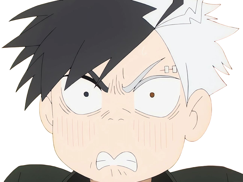 haruka sakura othello wind breaker anime manga protagoniste delinquant combattant lyceen homme cheveux-noirs-blancs yeux-gris-jaunes bicolor