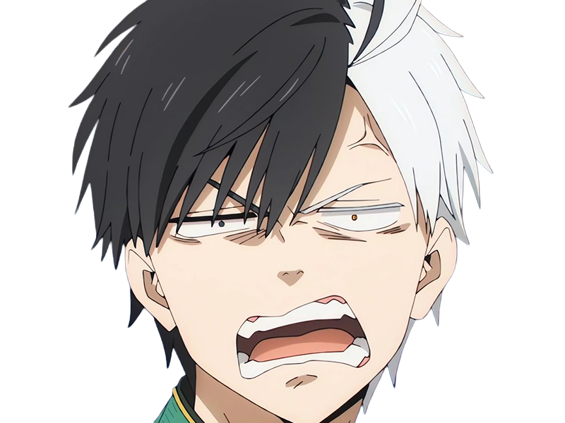 haruka sakura othello wind breaker anime manga protagoniste delinquant combattant lyceen homme cheveux-noirs-blancs yeux-gris-jaunes bicolor