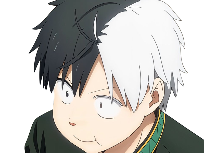 haruka sakura othello wind breaker anime manga protagoniste delinquant combattant lyceen homme cheveux-noirs-blancs yeux-gris-jaunes bicolor