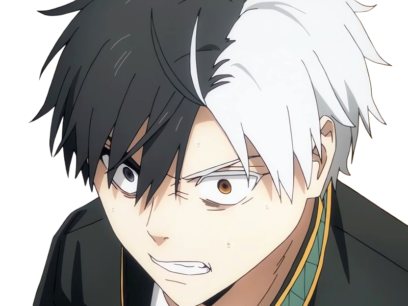 haruka sakura othello wind breaker anime manga protagoniste delinquant combattant lyceen homme cheveux-noirs-blancs yeux-gris-jaunes bicolor