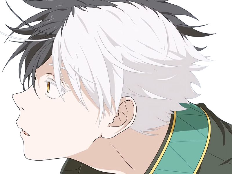 haruka sakura othello wind breaker anime manga protagoniste delinquant combattant lyceen homme cheveux-noirs-blancs yeux-gris-jaunes bicolor