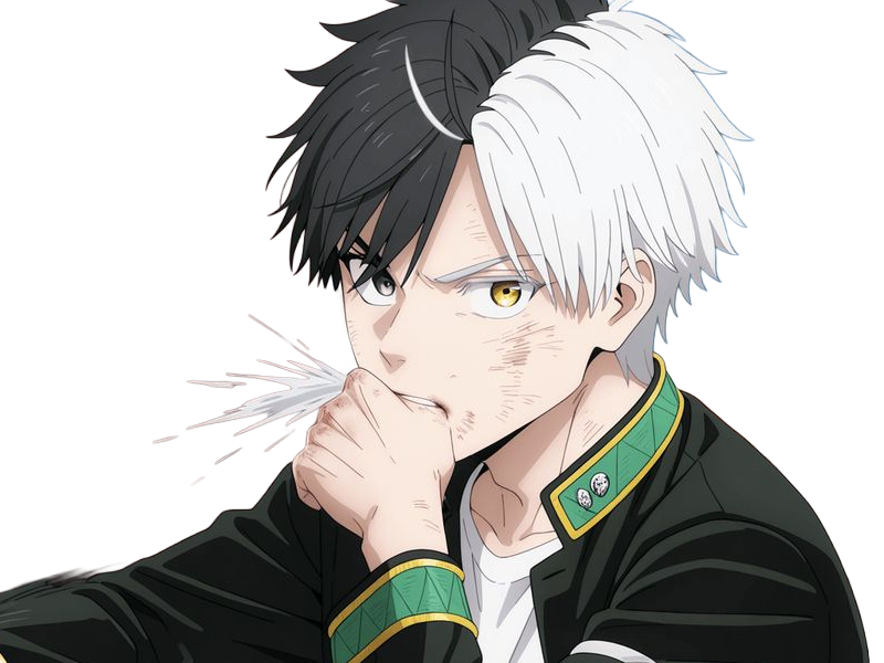 haruka sakura othello wind breaker anime manga protagoniste delinquant combattant lyceen homme cheveux-noirs-blancs yeux-gris-jaunes bicolor