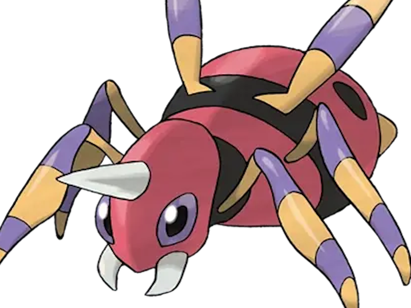 pokemon fic vlt moupe nintendo ariados migalos insecte poison