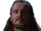 qui-gon-jinn-star-wars-sw-episode-i-ep1-la-menace-fantome-the-phantom-menace-maitre-jedi-gris-cheveux-bruns-yeux-bleus-liam-neeson