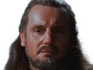 qui-gon-jinn-star-wars-sw-episode-i-ep1-la-menace-fantome-the-phantom-menace-maitre-jedi-gris-cheveux-bruns-yeux-bleus-liam-neeson