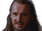 qui-gon-jinn-star-wars-sw-episode-i-ep1-la-menace-fantome-the-phantom-menace-maitre-jedi-gris-cheveux-bruns-yeux-bleus-liam-neeson