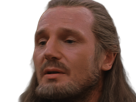 qui-gon-jinn-star-wars-sw-episode-i-ep1-la-menace-fantome-the-phantom-menace-maitre-jedi-gris-cheveux-bruns-yeux-bleus-liam-neeson
