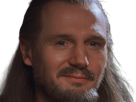 qui-gon-jinn-star-wars-sw-episode-i-ep1-la-menace-fantome-the-phantom-menace-maitre-jedi-gris-cheveux-bruns-yeux-bleus-liam-neeson