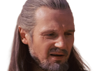qui-gon-jinn-star-wars-sw-episode-i-ep1-la-menace-fantome-the-phantom-menace-maitre-jedi-gris-cheveux-bruns-yeux-bleus-liam-neeson