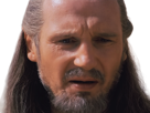 qui-gon-jinn-star-wars-sw-episode-i-ep1-la-menace-fantome-the-phantom-menace-maitre-jedi-gris-cheveux-bruns-yeux-bleus-liam-neeson
