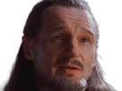 qui-gon-jinn-star-wars-sw-episode-i-ep1-la-menace-fantome-the-phantom-menace-maitre-jedi-gris-cheveux-bruns-yeux-bleus-liam-neeson