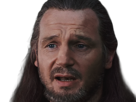 qui-gon-jinn-star-wars-sw-episode-i-ep1-la-menace-fantome-the-phantom-menace-maitre-jedi-gris-cheveux-bruns-yeux-bleus-liam-neeson