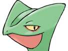 jungko-sceptile-pokemon-3g-hoenn-plante-moupe-nintendo-lezard-gecko-vlt