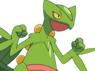 jungko-sceptile-pokemon-3g-hoenn-plante-moupe-nintendo-lezard-gecko-vlt