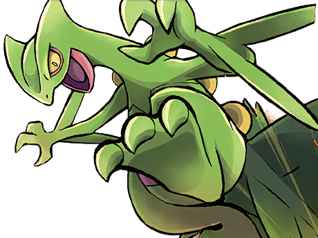 jungko sceptile pokemon 3g hoenn plante moupe nintendo lezard gecko vlt