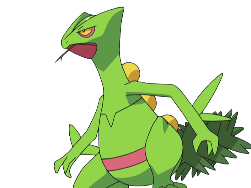 jungko sceptile pokemon 3g hoenn plante moupe nintendo lezard gecko vlt