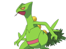 jungko-sceptile-pokemon-3g-hoenn-plante-moupe-nintendo-lezard-gecko-vlt