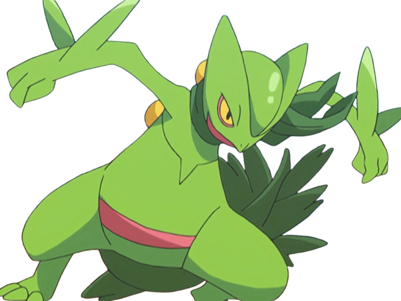 jungko sceptile pokemon 3g hoenn plante moupe nintendo lezard gecko vlt