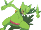 jungko-sceptile-pokemon-3g-hoenn-plante-moupe-nintendo-lezard-gecko-vlt