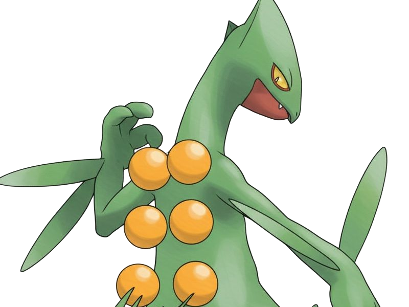 jungko sceptile pokemon 3g hoenn plante moupe nintendo lezard gecko vlt