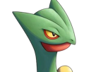 jungko-sceptile-pokemon-3g-hoenn-plante-moupe-nintendo-lezard-gecko-vlt
