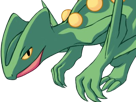 jungko-sceptile-pokemon-3g-hoenn-plante-moupe-nintendo-lezard-gecko-vlt