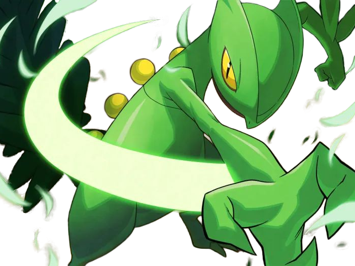 jungko sceptile pokemon 3g hoenn plante moupe nintendo lezard gecko vlt