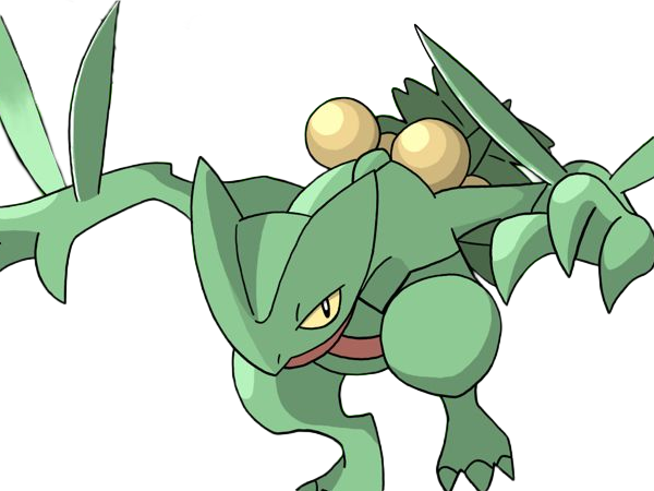jungko sceptile pokemon 3g hoenn plante moupe nintendo lezard gecko vlt