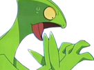 jungko-sceptile-pokemon-3g-hoenn-plante-moupe-nintendo-lezard-gecko-vlt