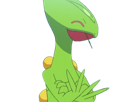 jungko-sceptile-pokemon-3g-hoenn-plante-moupe-nintendo-lezard-gecko-vlt