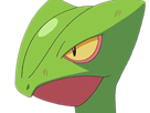 jungko-sceptile-pokemon-3g-hoenn-plante-moupe-nintendo-lezard-gecko-vlt