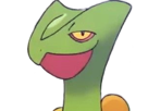 jungko-sceptile-pokemon-3g-hoenn-plante-moupe-nintendo-lezard-gecko-vlt