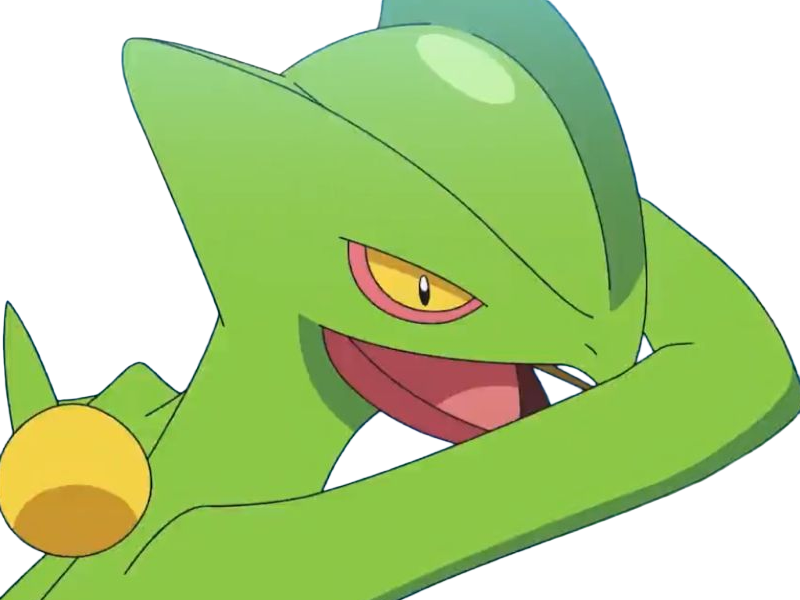 jungko sceptile pokemon 3g hoenn plante moupe nintendo lezard gecko vlt