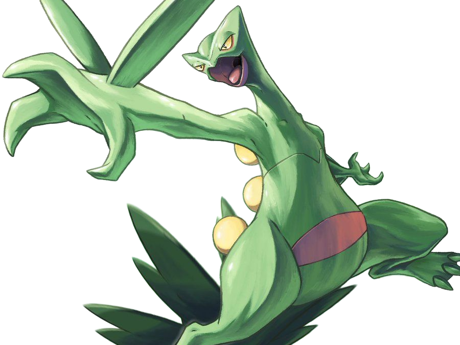jungko sceptile pokemon 3g hoenn plante moupe nintendo lezard gecko vlt
