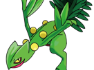 jungko-sceptile-pokemon-3g-hoenn-plante-moupe-nintendo-lezard-gecko-vlt