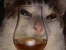 chat-whisky-mignon
