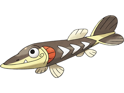 embrochet arrokuda sasikamasu pokemon pkm anime jeu type eau 8g galar fonceur