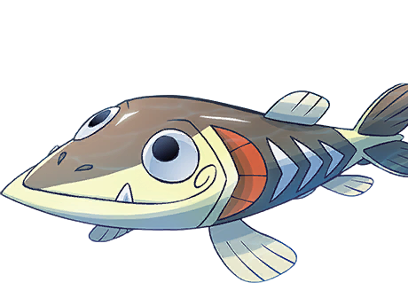 embrochet arrokuda sasikamasu pokemon pkm anime jeu type eau 8g galar fonceur