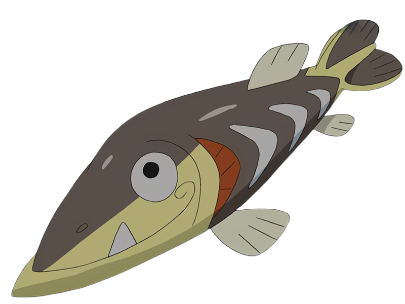 embrochet arrokuda sasikamasu pokemon pkm anime jeu type eau 8g galar fonceur