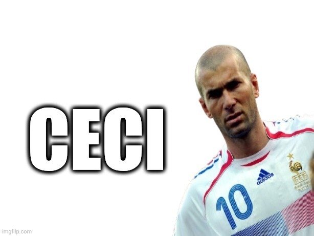 zinedine zidane france ceci this reel vrai