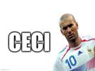 zinedine-zidane-france-ceci-this-reel-vrai