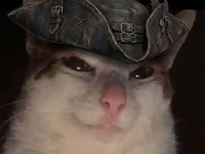 chat cat bloodborne tricorne chapeau