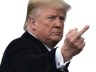 trump-doigt-dhonneur-honneur-d-fuck-you-ford-donald-middle-finger-majeur-fache-alpha-knifos